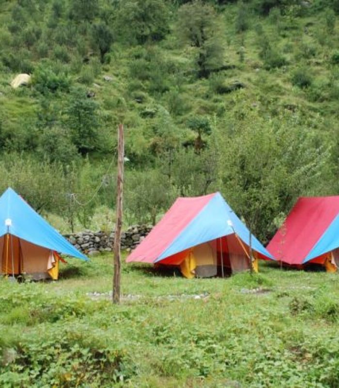 Camping1 Camping1