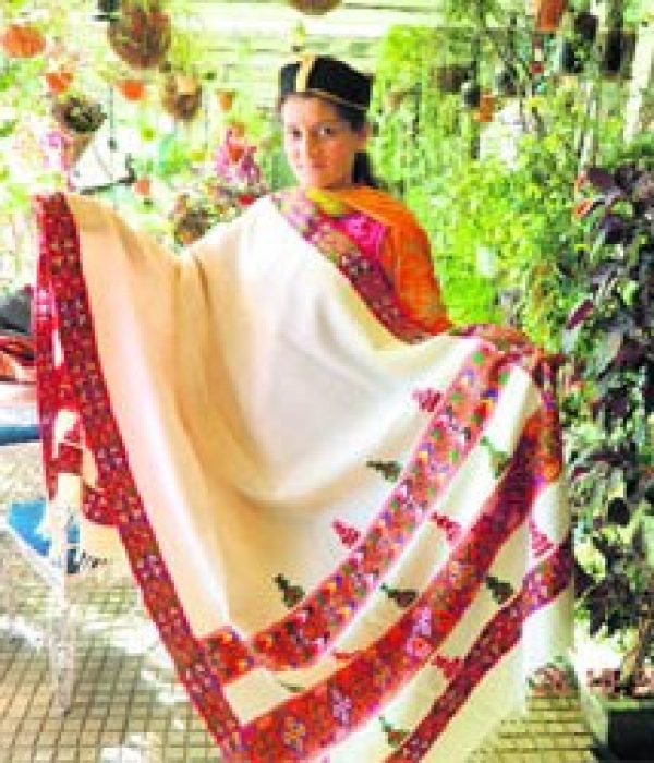 Himachal-shawls-e1389072477391 Himachal-shawls-e1389072477391