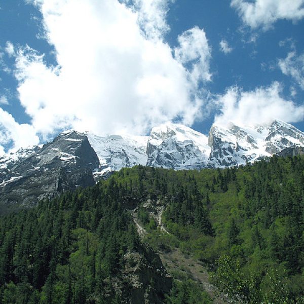 Pulga-KULLU Pulga-KULLU