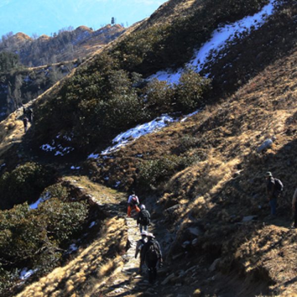 Swargarohini-6252-M Swargarohini-6252-M