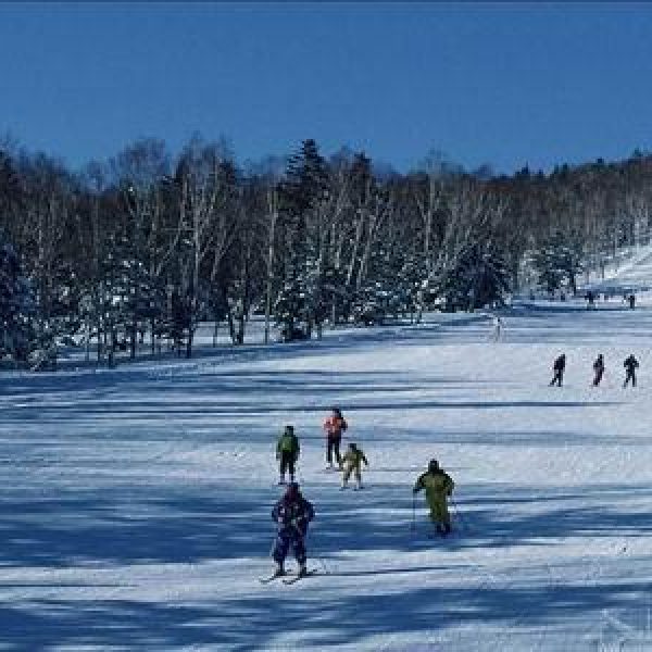 skiing skiing